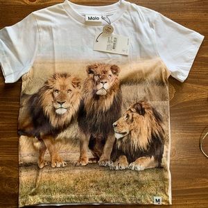 🔹Sold🔹🆕Molo Boys Road 3 Lions T-Shirt